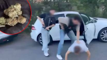 Uyuşturucu tacirlerine darbe! Yerlikaya 'her köşe başında biz varız' diye duyurdu: 365 kilo uyuşturucu ele geçirildi