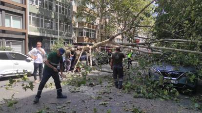 Nişantaşı'nda bir çınar ağacı milyonluk cipin üzerine devrildi: İki araç zarar gördü