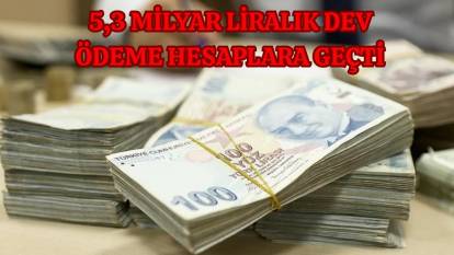 5,3 milyarlık dev ödeme hesaplarda! Evde bakım yardımı ödemeleri gerçekleşti