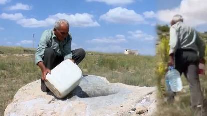 73 yaşında bir kahraman: Susuz kalan vahşi hayvanlara evinden şişe şişe su taşıyor