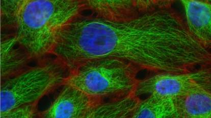Bilim insanları “görünmeyeni” görmeye başladı! İşte atomik ışığı yakalamayı başaran teknoloji
