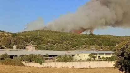 İzmir'de orman yangını! Ekipler müdahaleye başladı