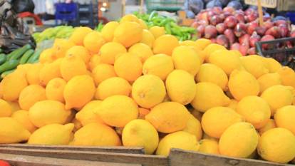 Tanesi 50 liraya satılıyor! Sarı altın: Limon