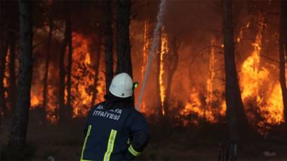 Orman yangınlarıyla ilgili 7 Kişi gözaltına alındı, 3'ü tutuklandı
