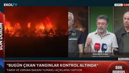 Bakan Yumaklı: 3 ilimizde 4 yangın devam ediyor!