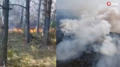 Sinop'ta korkutan yangın: Ormanlık alanda başladı, köy tahliye edildi!