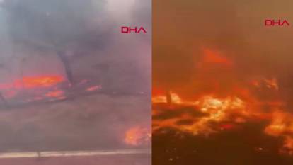 Çanakkale yangınına ait yeni görüntüler ortaya çıktı: Alevlerin ortasında yaşam savaşı!