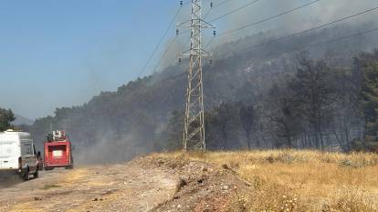 Manisa'da orman yangını!