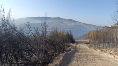 Hatay'daki orman yangını 16,5 saat sonra kontrol altına alındı