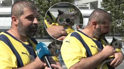Benfica maçı öncesi Kadıköy'de renkli görüntüler: Fenerbahçe formalı kedisiyle stadyuma geldi!
