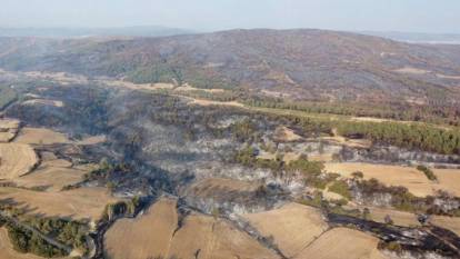 Çanakkale'de orman yangını 2'nci gününde; Acı tablo gün ağarınca ortaya çıktı!