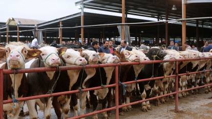 Tarım ve Orman Bakanlığı açıkladı: Hayvan pazarları yeniden faaliyete geçti