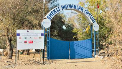 Zor durumdaki hayvanların adresi: Emekli Hayvanlar Çiftliği