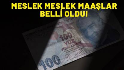 EN YÜKSEK MEMUR MAAŞI NE KADAR OLDU? İşte memur, polis, öğretmen maaşları...