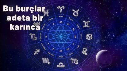 Bu burçlar adeta bir karınca! Çok çalışıp zengin oluyorlar