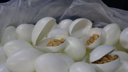 Sürpriz yumurtanın içine uyuşturucu zulalamışlardı! 6 şüpheli tutuklandı