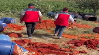 Tarım ve Orman Bakanlığı açıkladı: 6 ton domates posası imha edildi