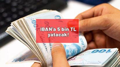 Eylül ayında hesaplara geçecek: IBAN'a 5 bin TL yatacak!