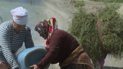 Karadeniz'de kış hazırlığı başladı: Her yükün altında kadının emeği var!