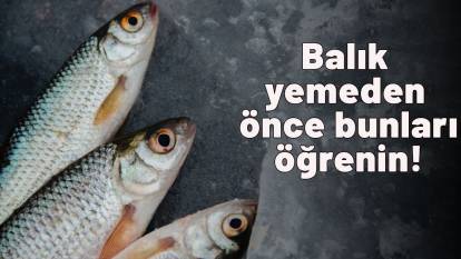 Balık yemeden önce bunları öğrenin! İşte balığın taze olup olmadığını gösteren işaretler