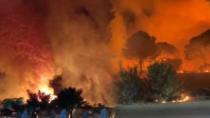 Antalya'da orman yangını: Çok sayıda ekip müdahale ediyor!