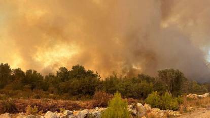Antalya'da ormanlık alanda çıkan yangında 1 gözaltı!