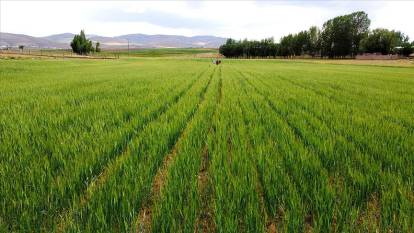 Sadece 73 bin TL’ye arsa fırsatı! Milli Emlak’tan devlet garantili imarlı arazi satışı başladı