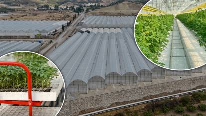 Denizli Sarayköy’de “akıllı sera” üretimine başladı: Sürdürülebilir tarımda inovasyon dönemi