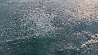 Sapanca Gölü’ndeki kabarcıklar panik yarattı: Depremin işareti mi? Uzmandan net açıklama