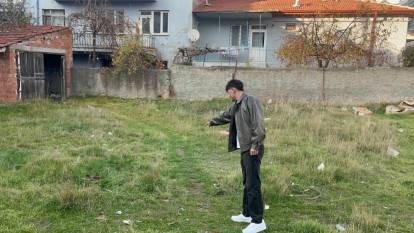 Eskişehir'de boş arsada 8 ölü kedi bulundu