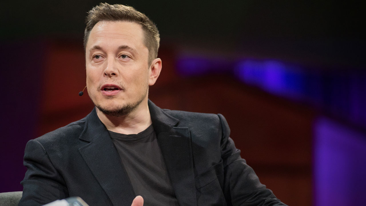 elon3.jpg