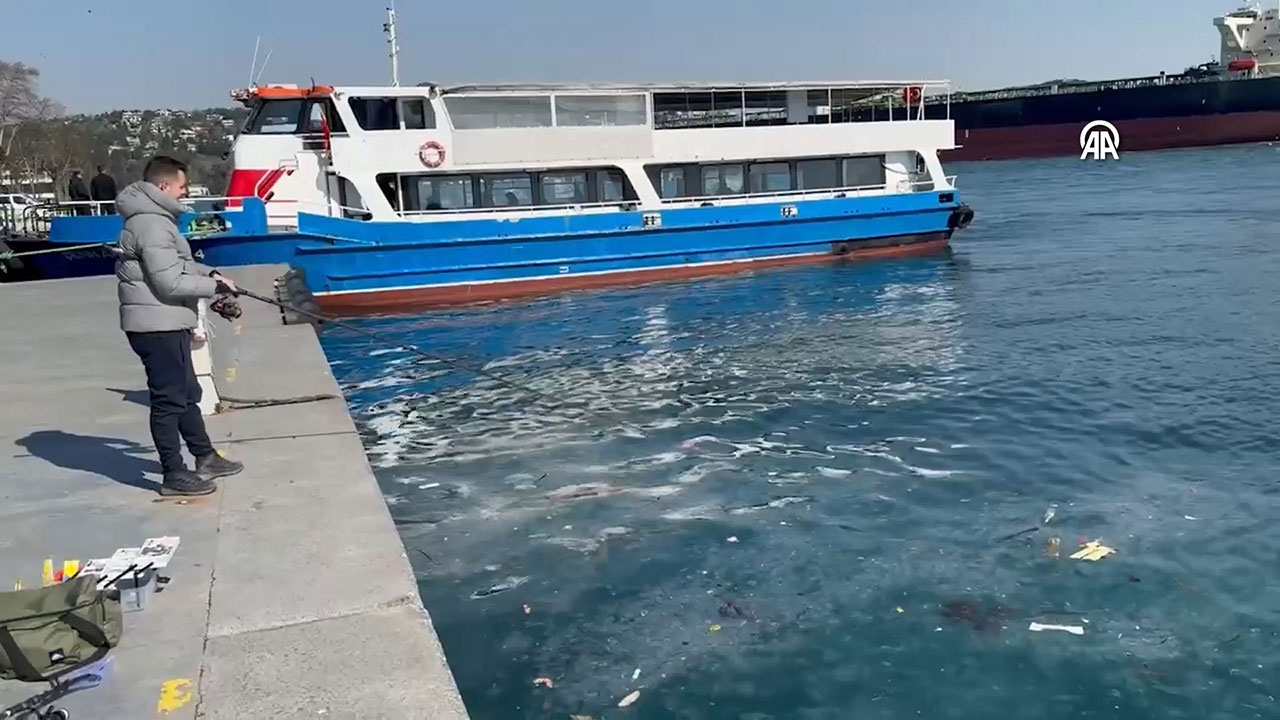 aa-20250224-37154165-37154164-istanbul-sariyer-ve-besiktas-sahillerinde-denizanasi-yogunlugu-mp4-snapshot-00-32-480.jpg