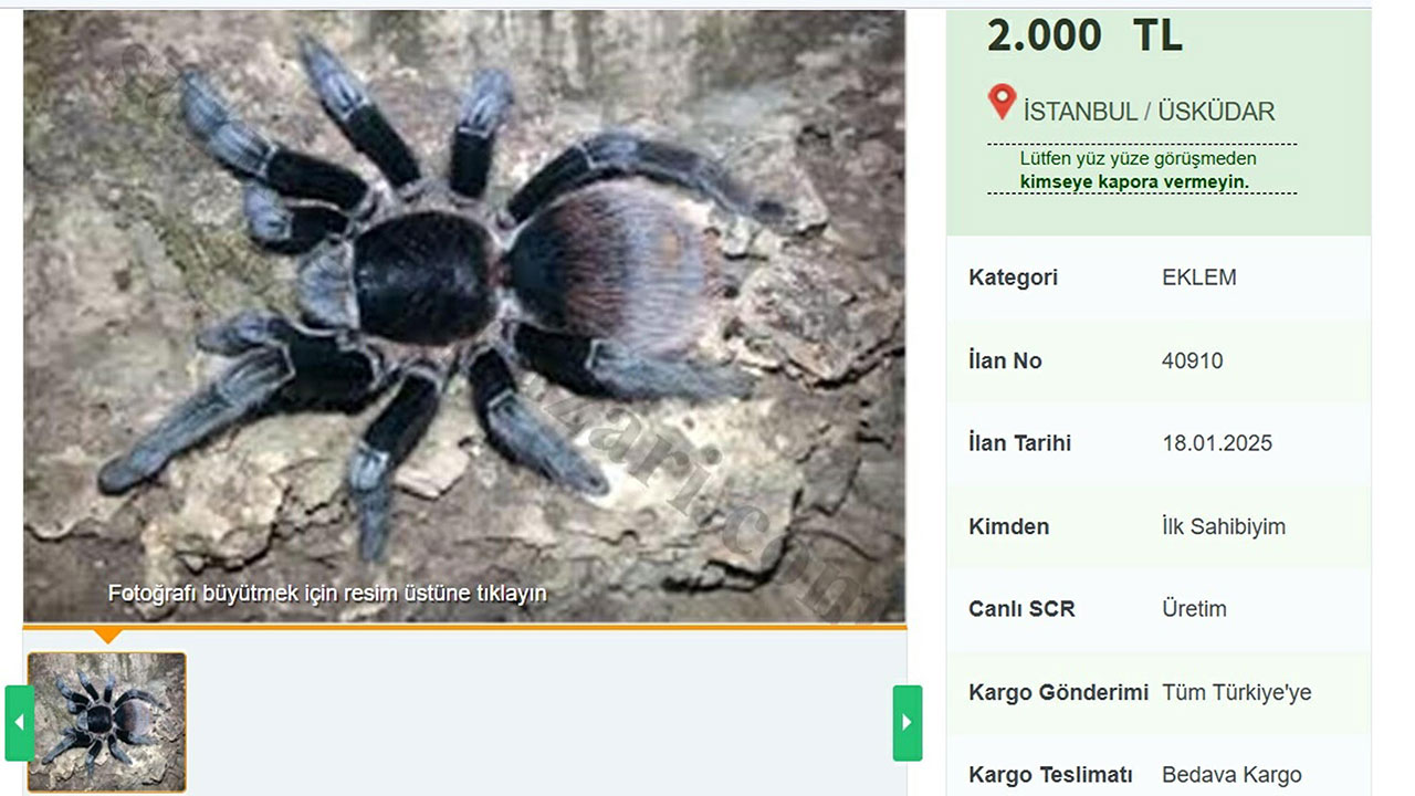 889778987.jpg