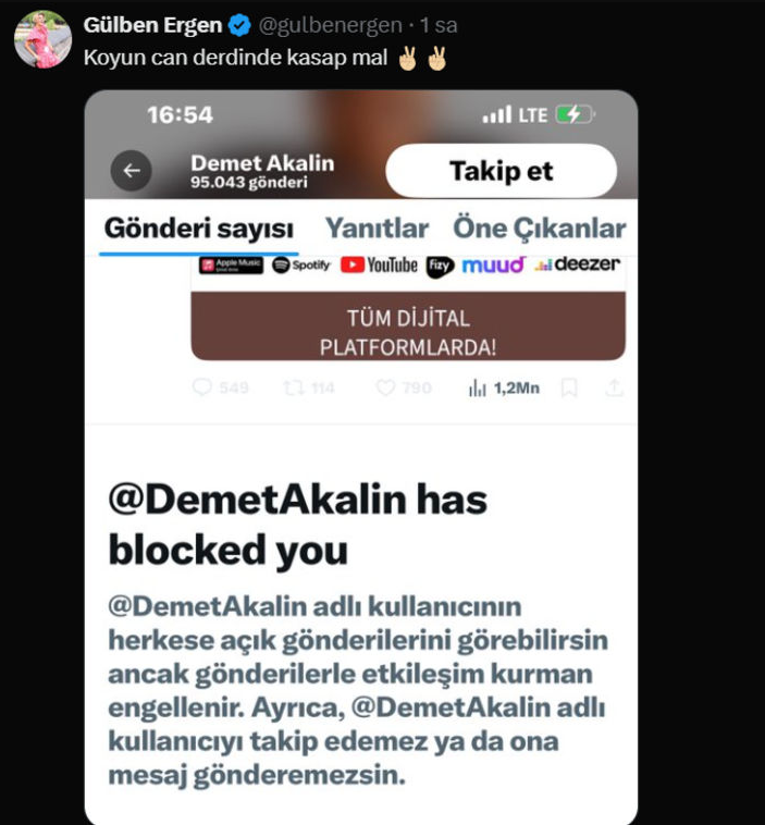 ergen.png