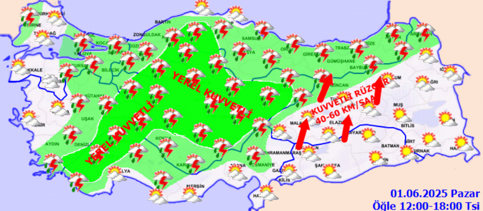 screenshot-2025-06-01t074730-973.png