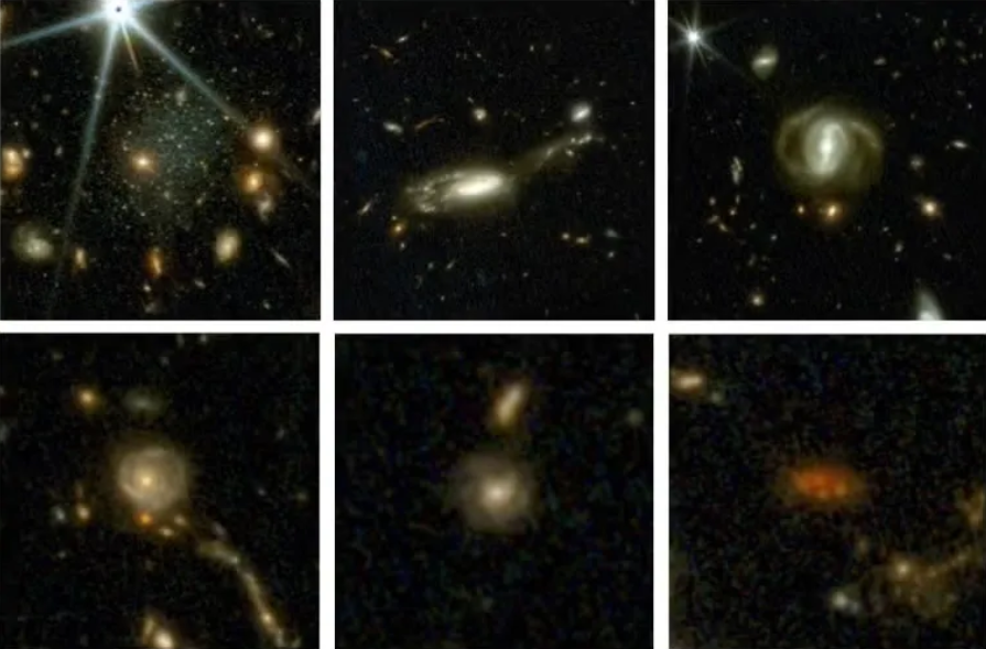 cosmos-web.png