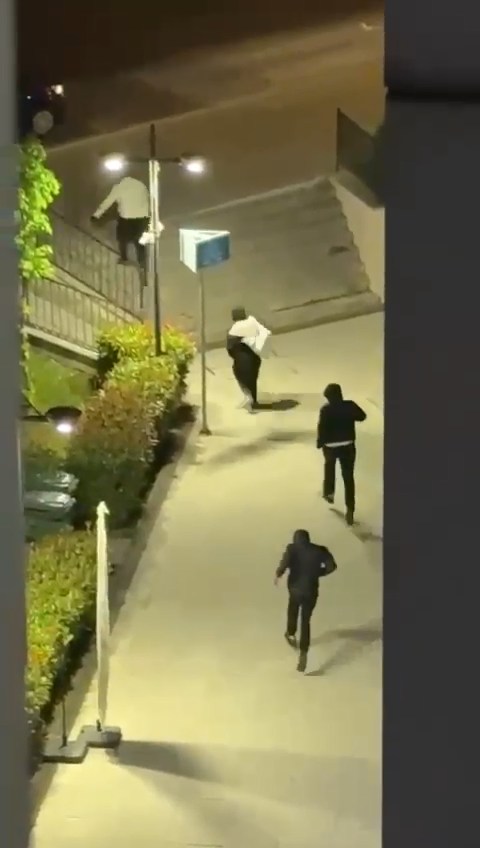 vid-20250614-wa0009-mp4-snapshot-00-50-861.jpg