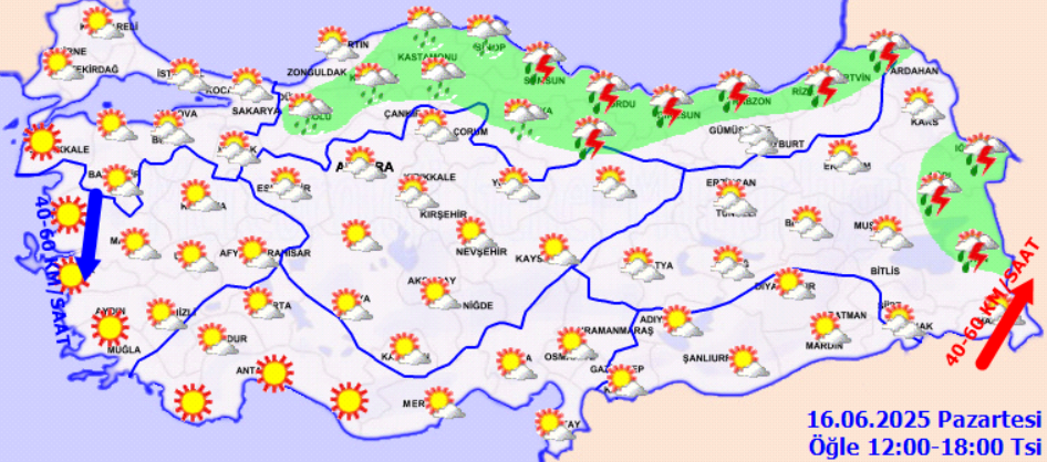 screenshot-2025-06-16t085234-809.png