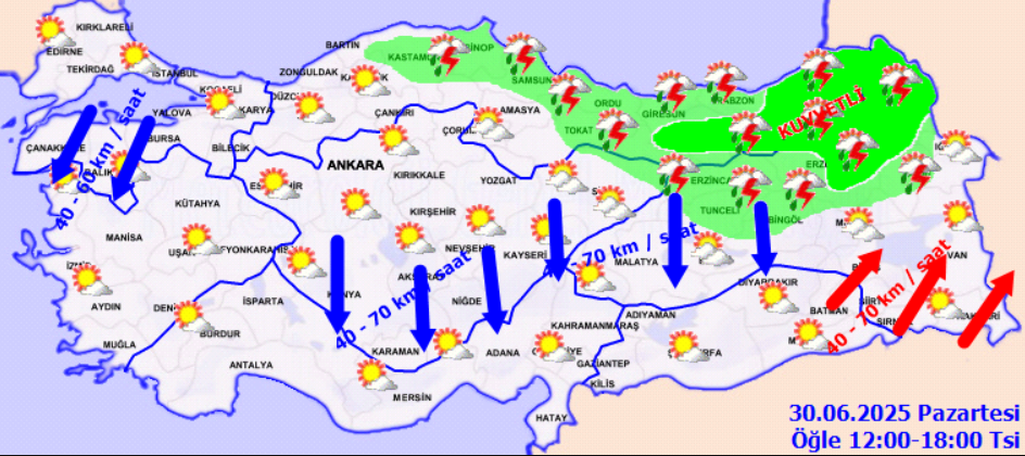 screenshot-2025-06-30t071521-097.png