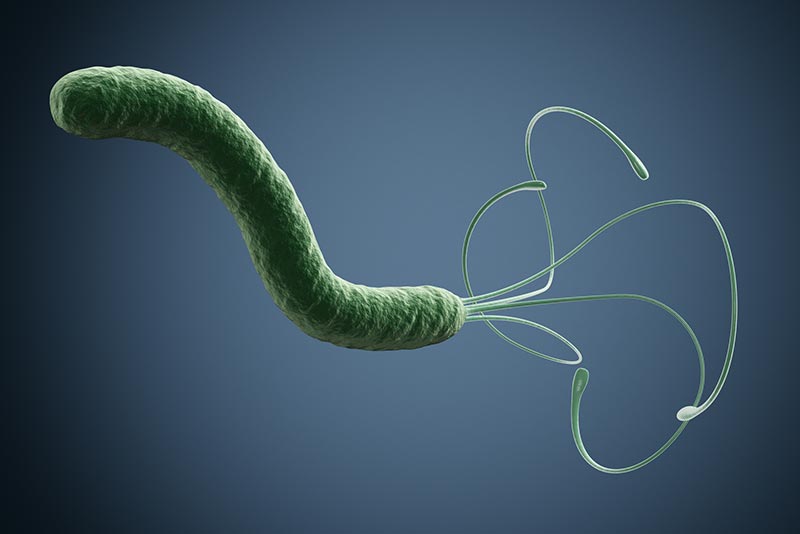 helicobacter-pylori.jpg