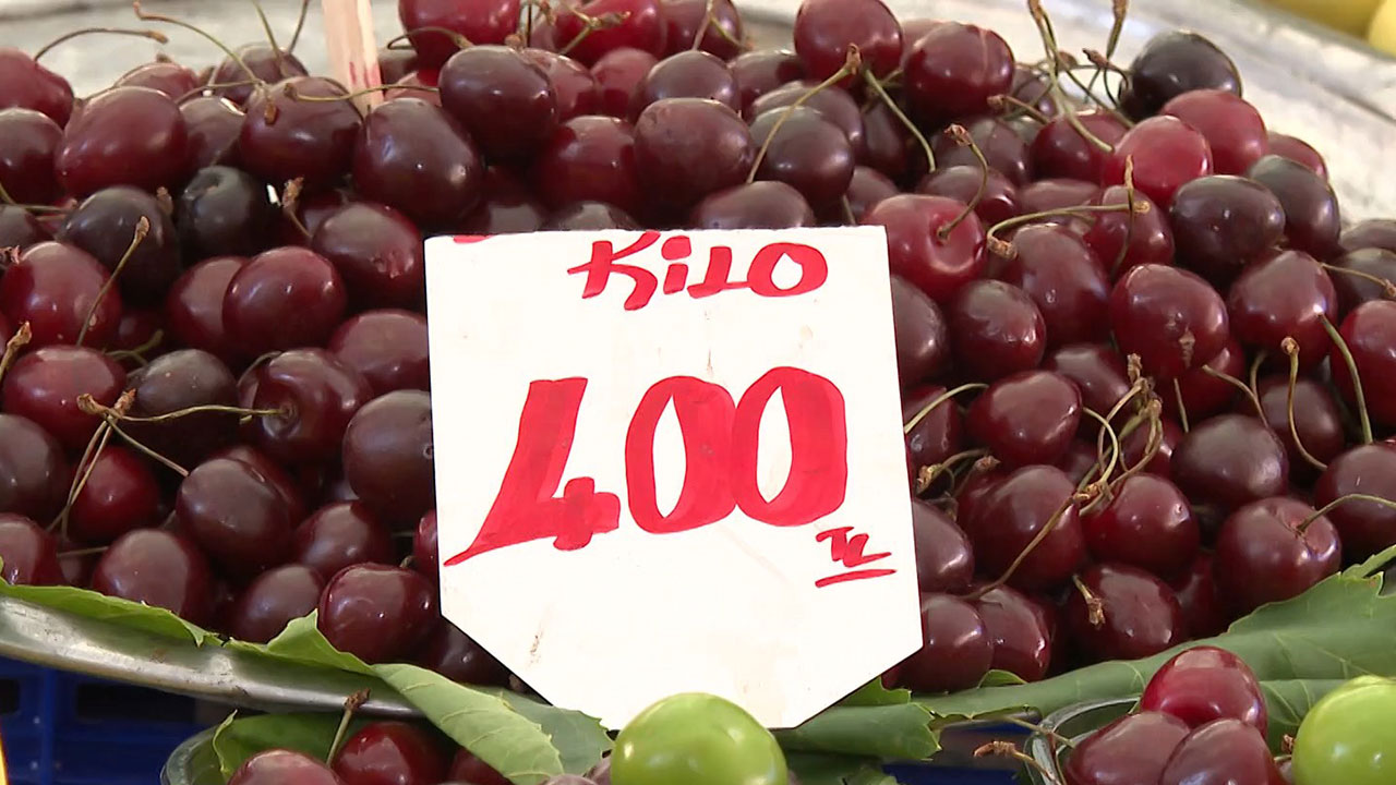 untitled-40-mp4-snapshot-00-25-604.jpg