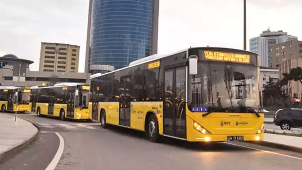 867831.jpg