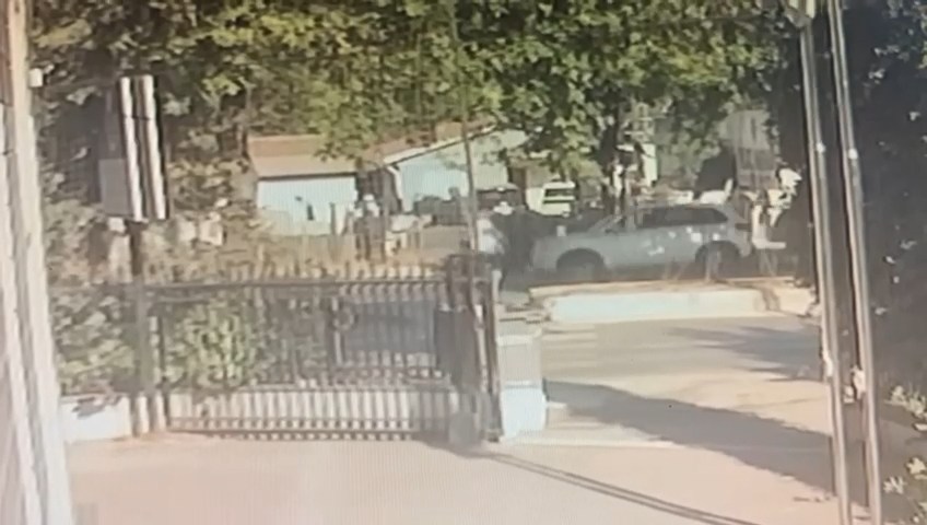 gamze.jpg