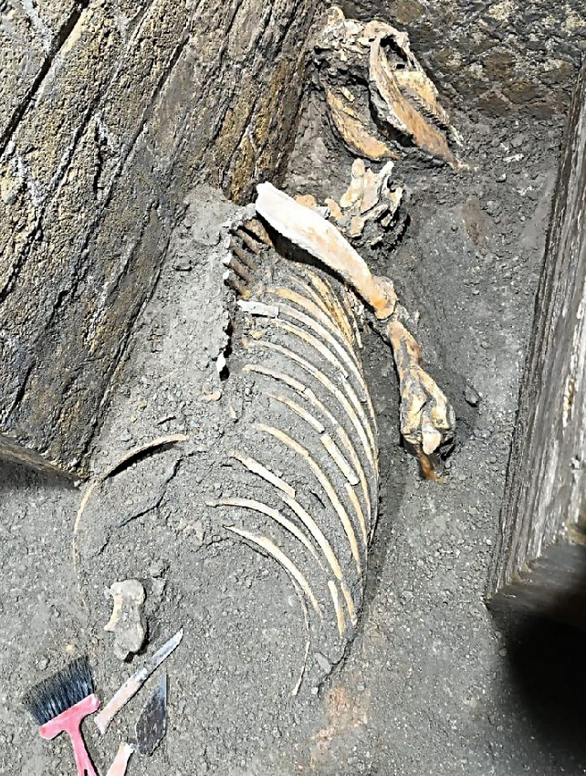 pompeii.jpg
