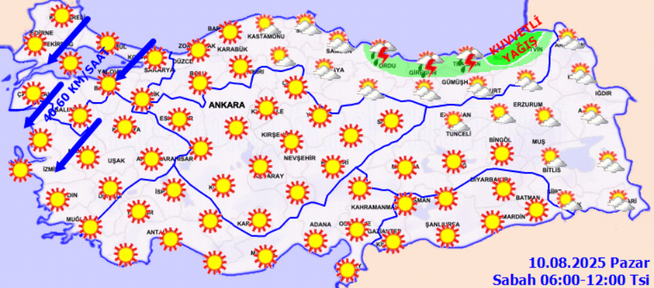 screenshot-2025-08-10t071445-286.png