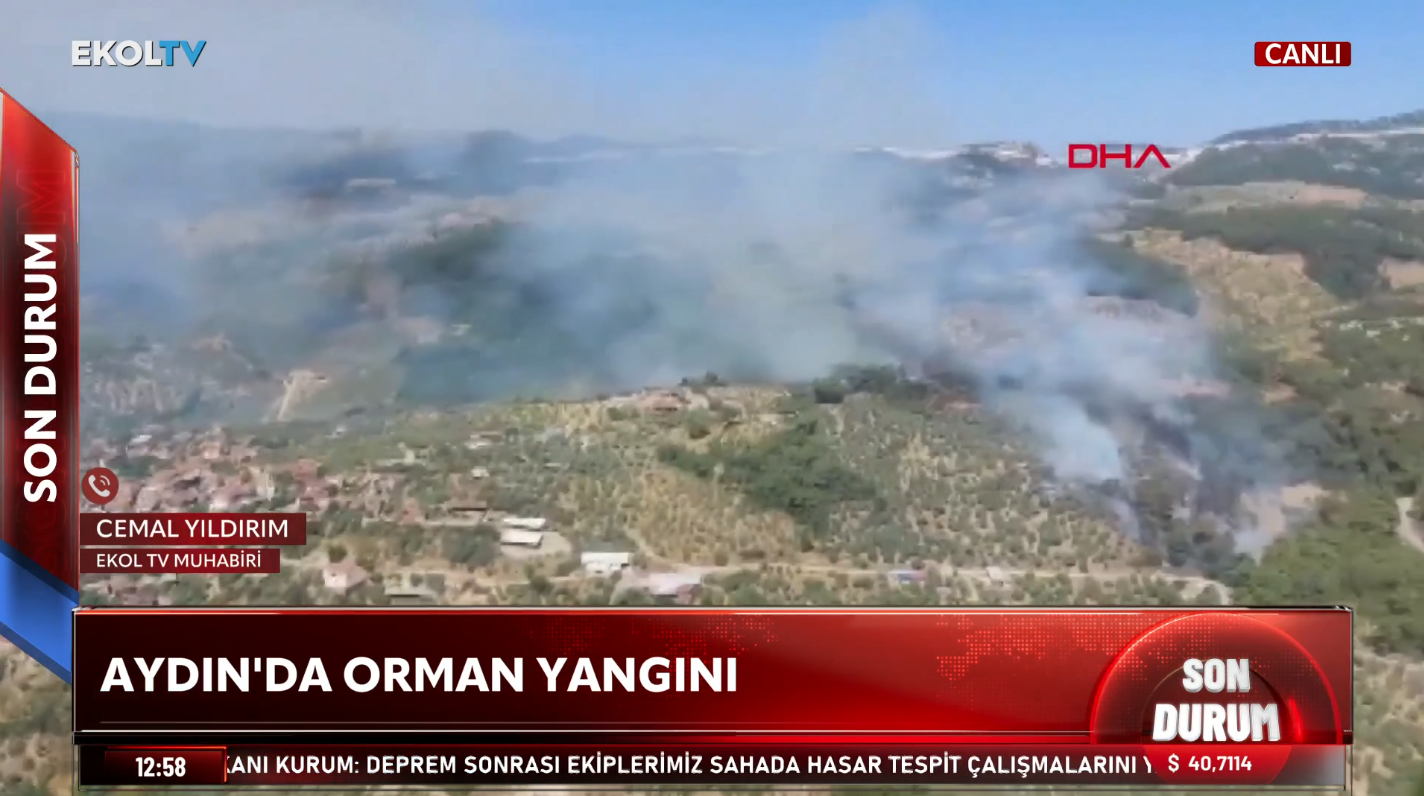 aydin-1.png