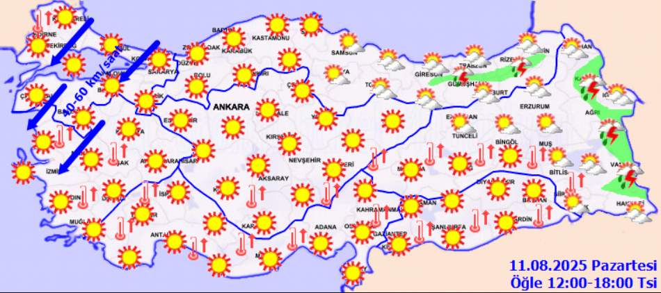 screenshot-2025-08-11t081703-196.png