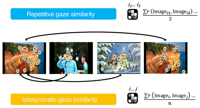 eyetracking.jpg