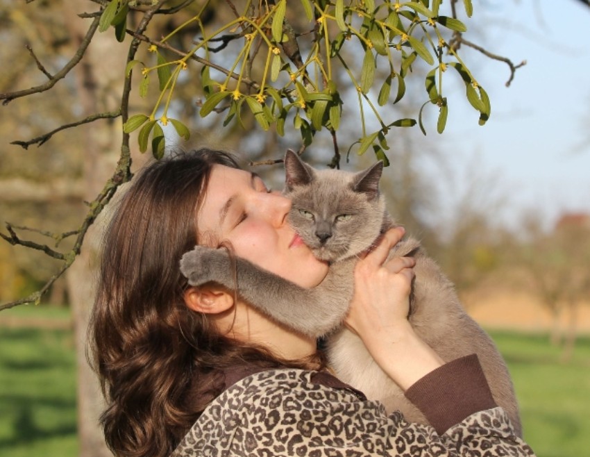 kedi.jpg