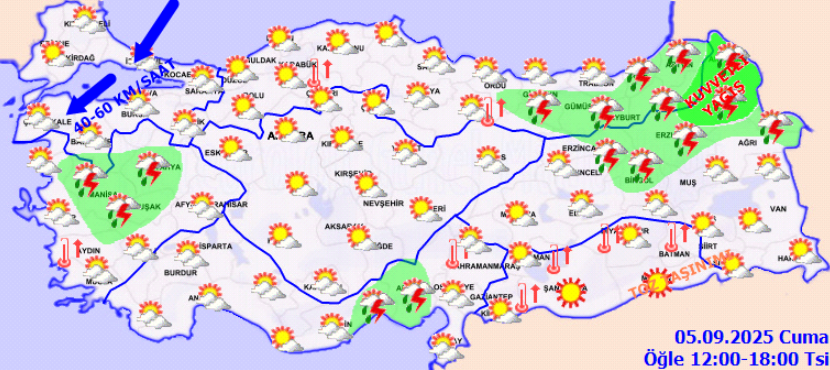 screenshot-2025-09-05t070826-156.png